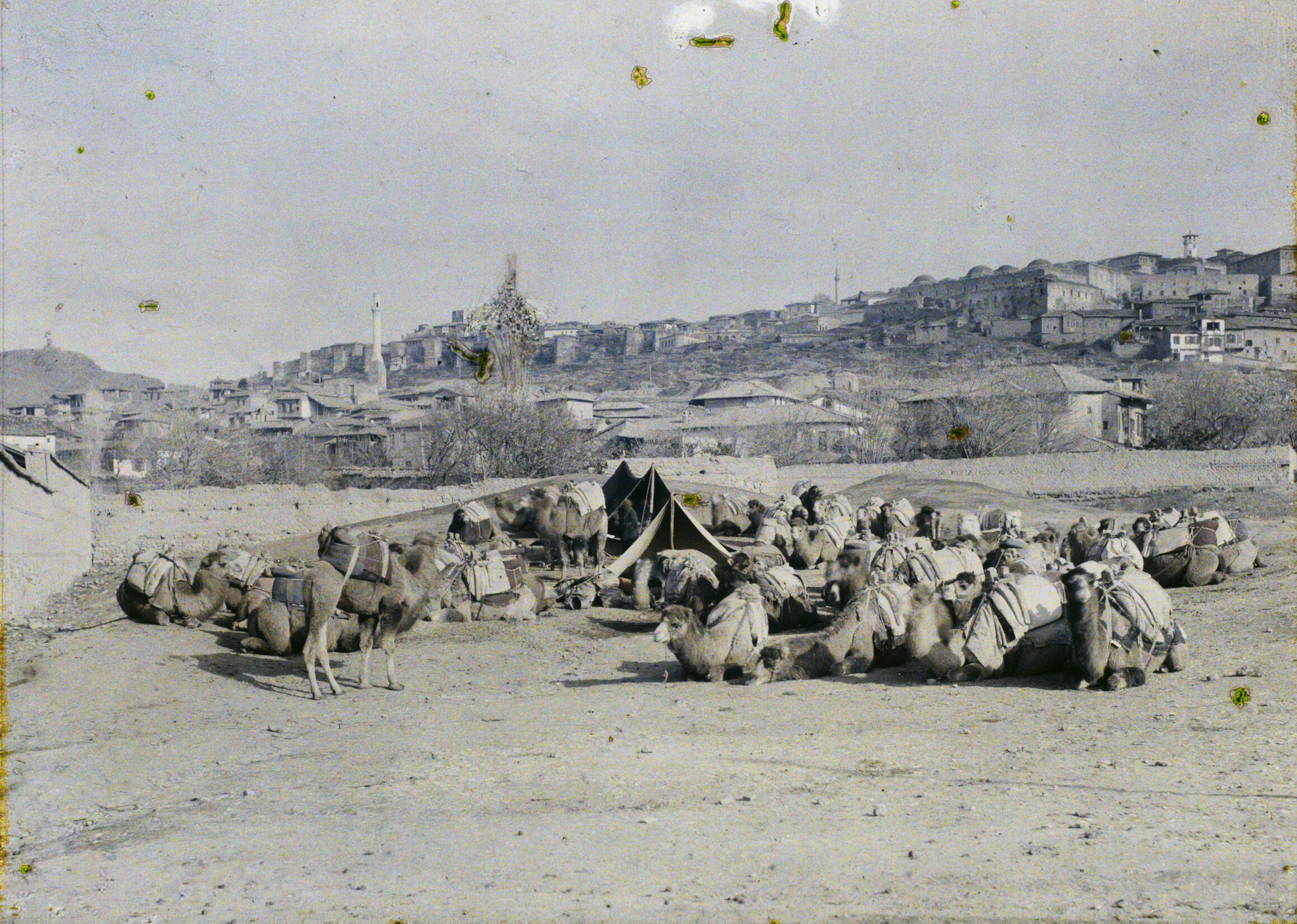 Ankara Kalesi ve Develer