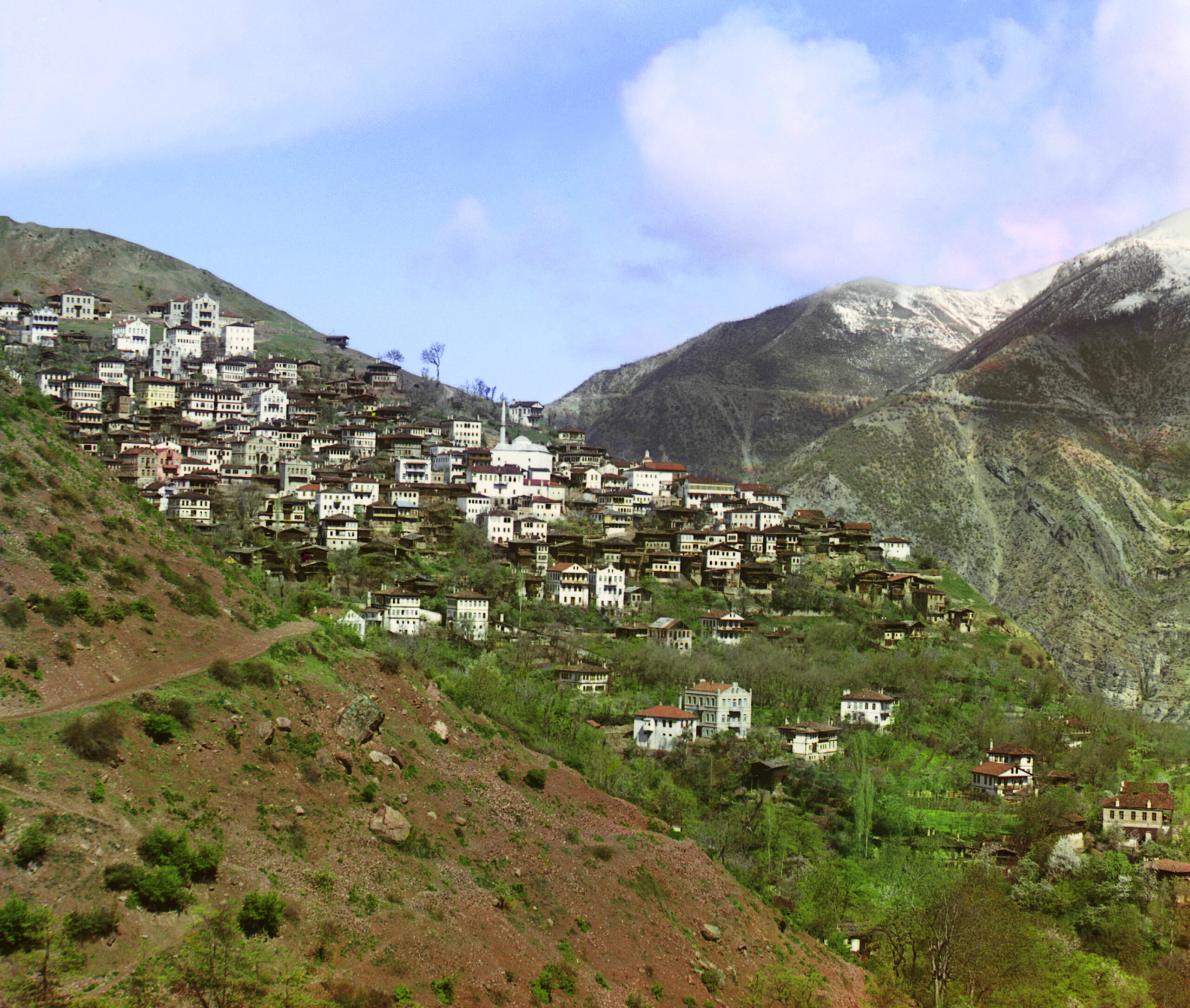 Artvin