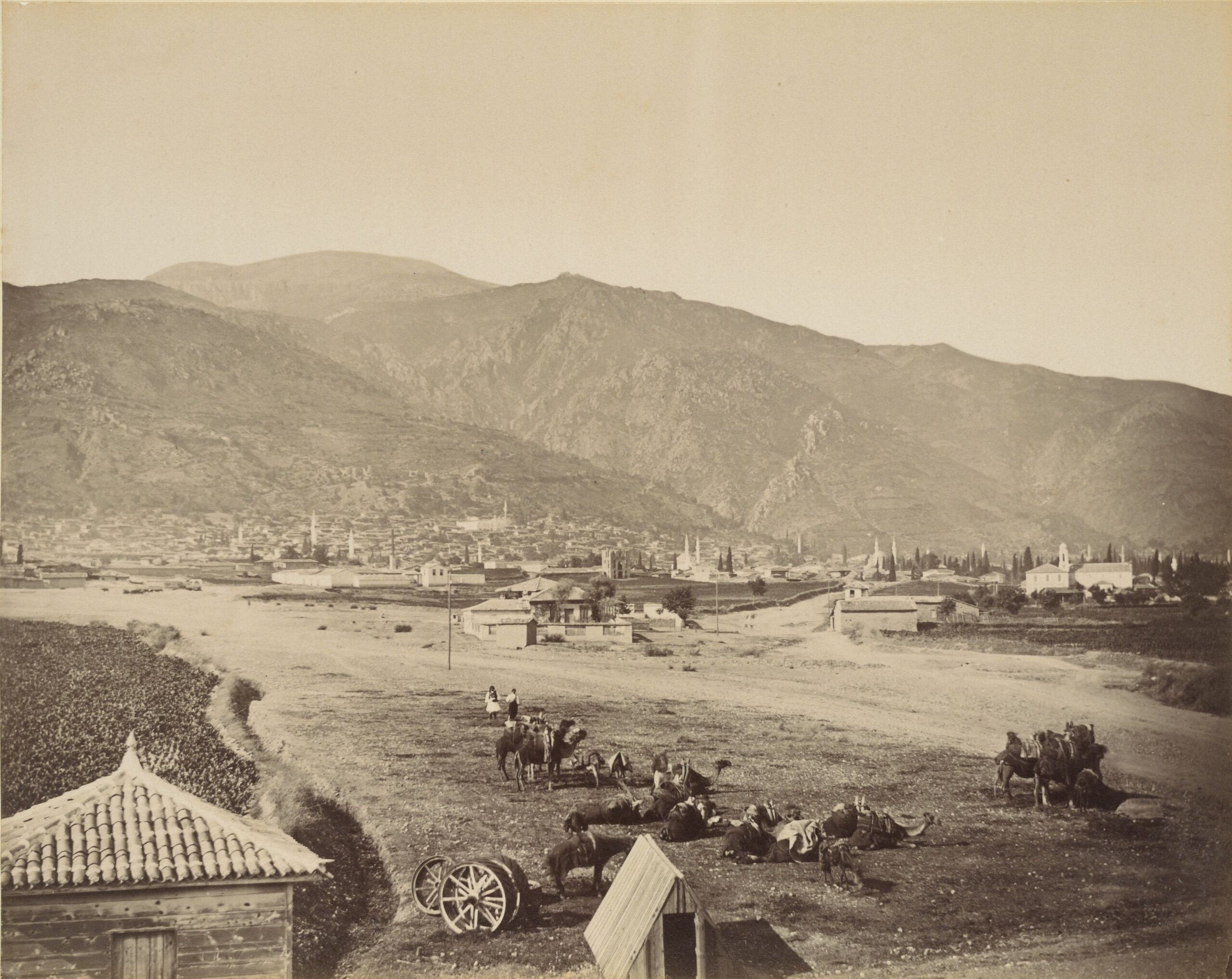 Manisa