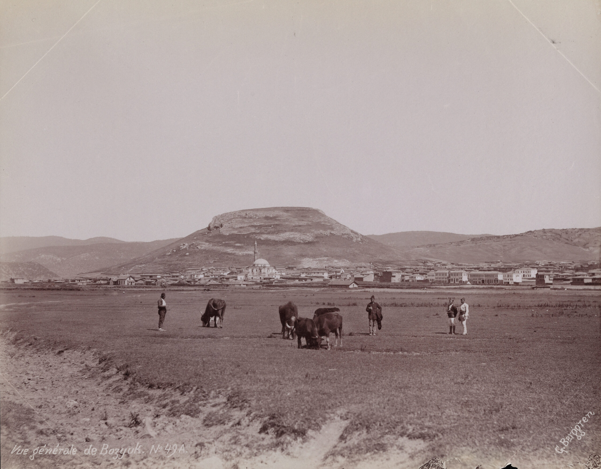 Bozüyük