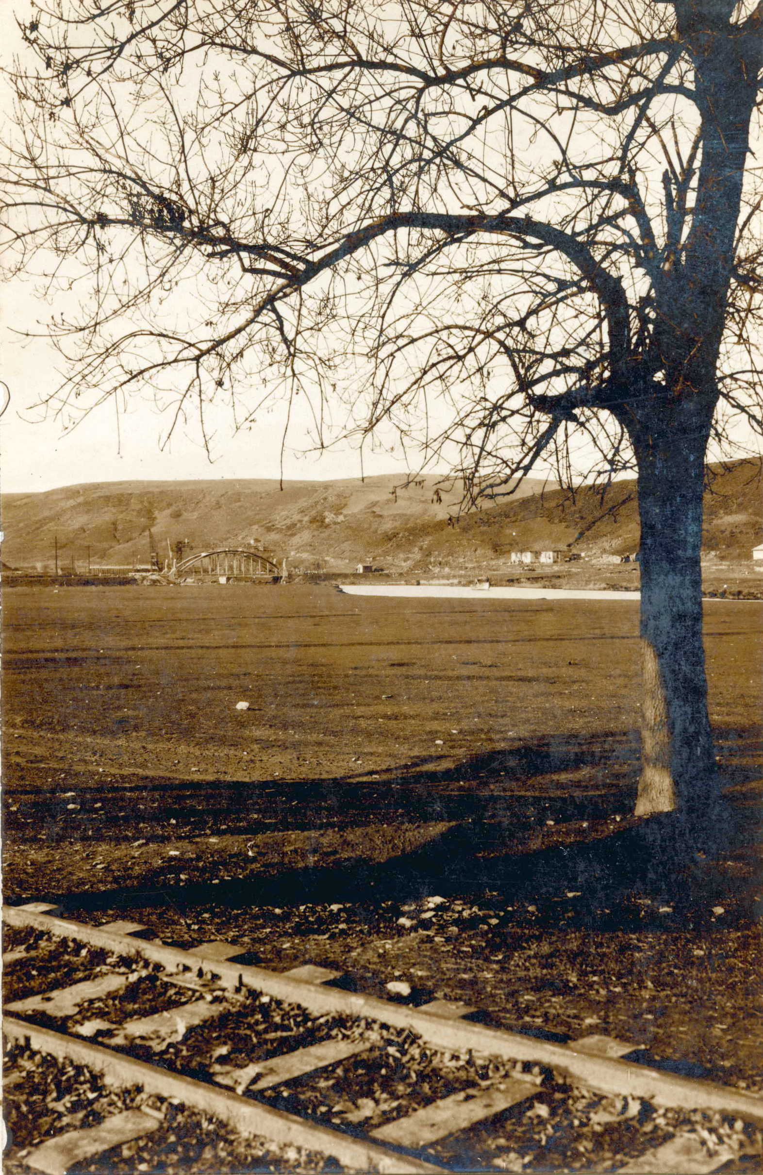 Fil Köprüsü
