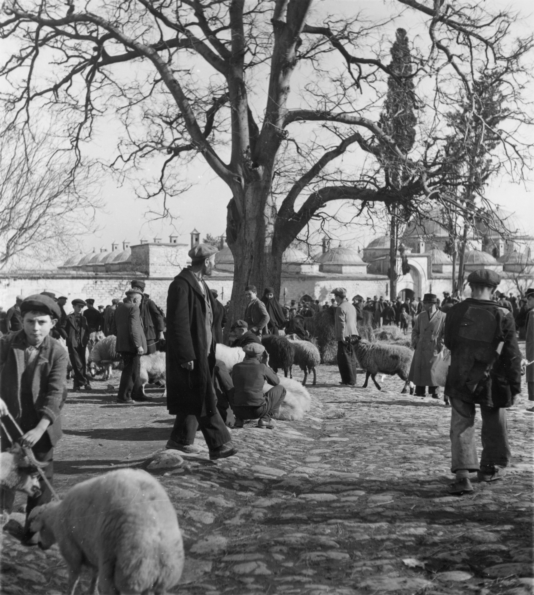 Fatih Külliyesi’nde Koyun Pazarı