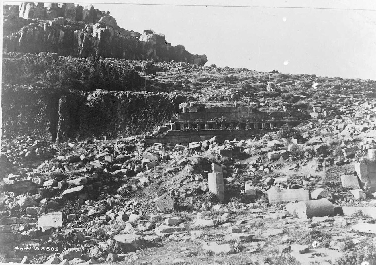 Assos Agora