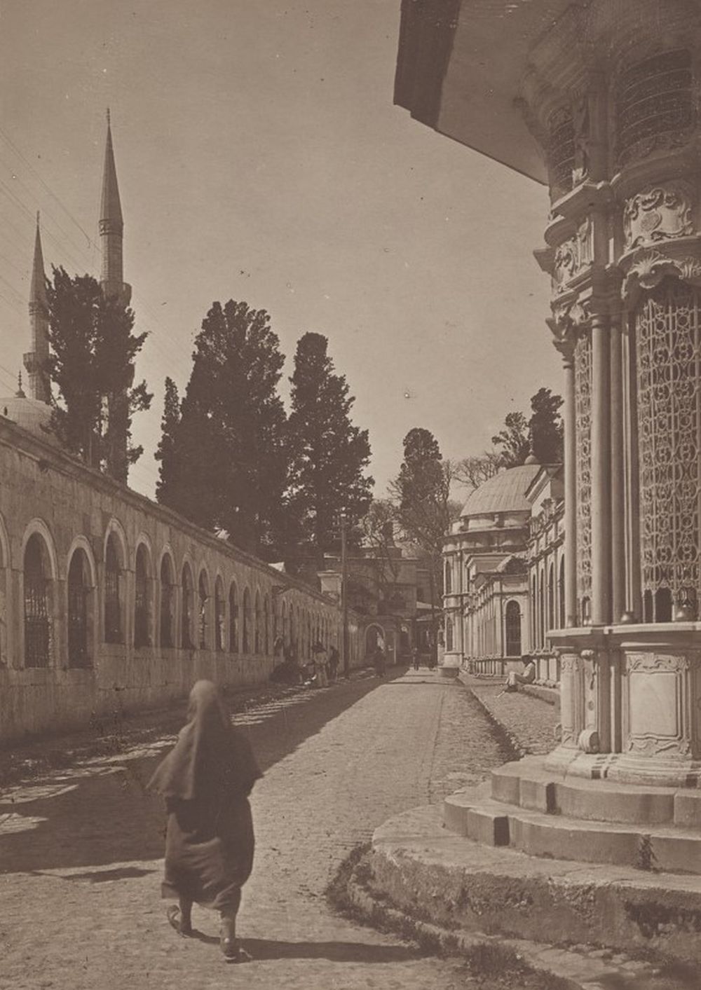 Cülus Yolu