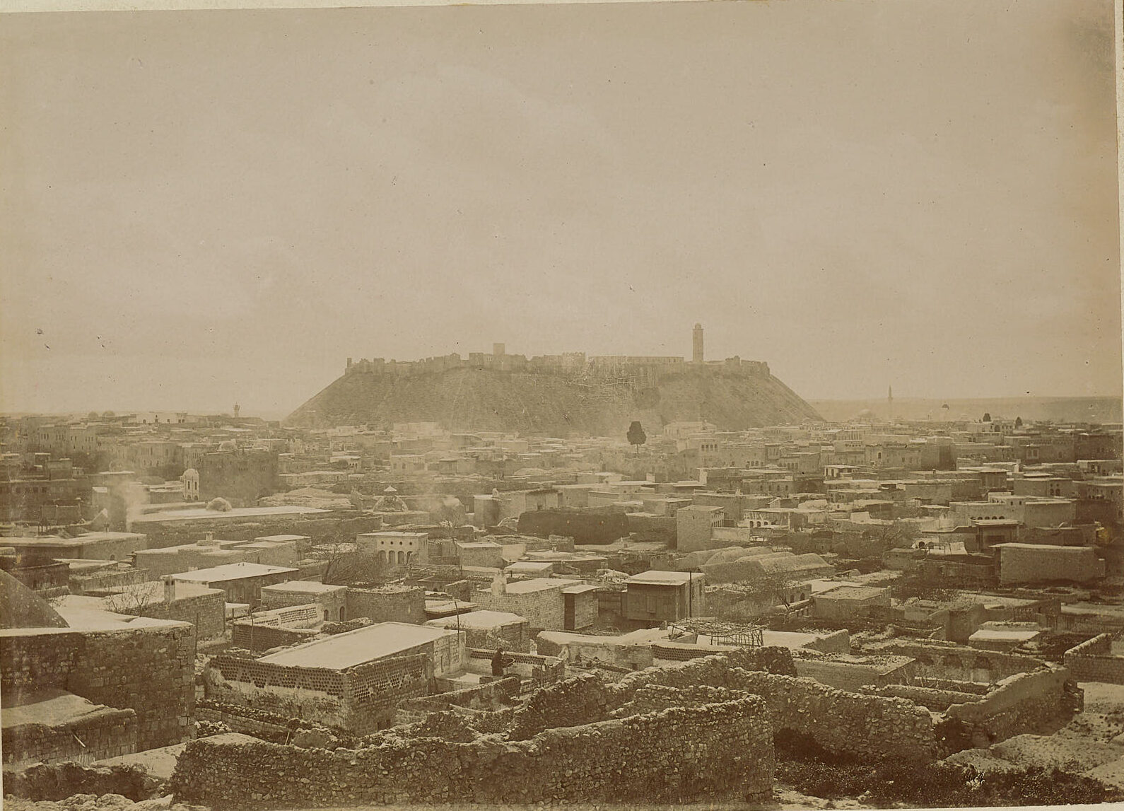 Halep