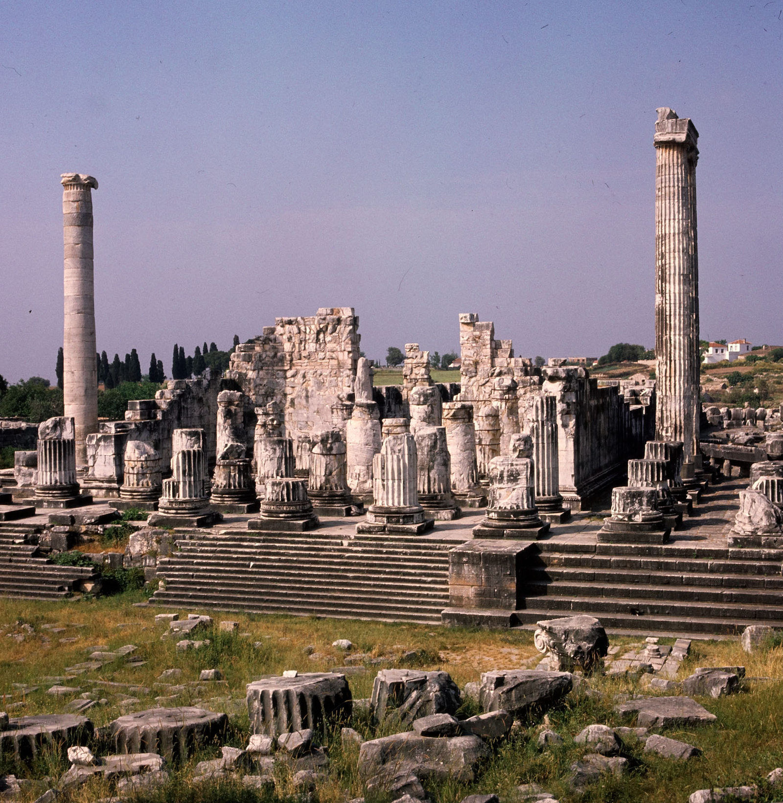 Didyma Apollon Tapınağı