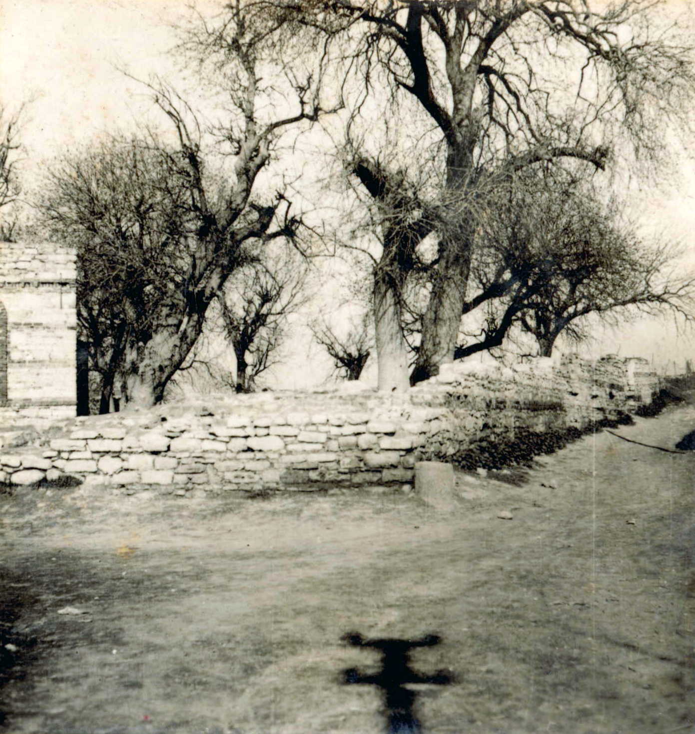 Seyyid Ömer Camii