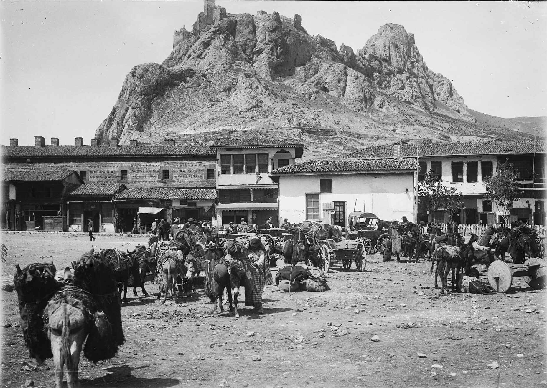 Tokat Kalesi ve Tokat Taşhan