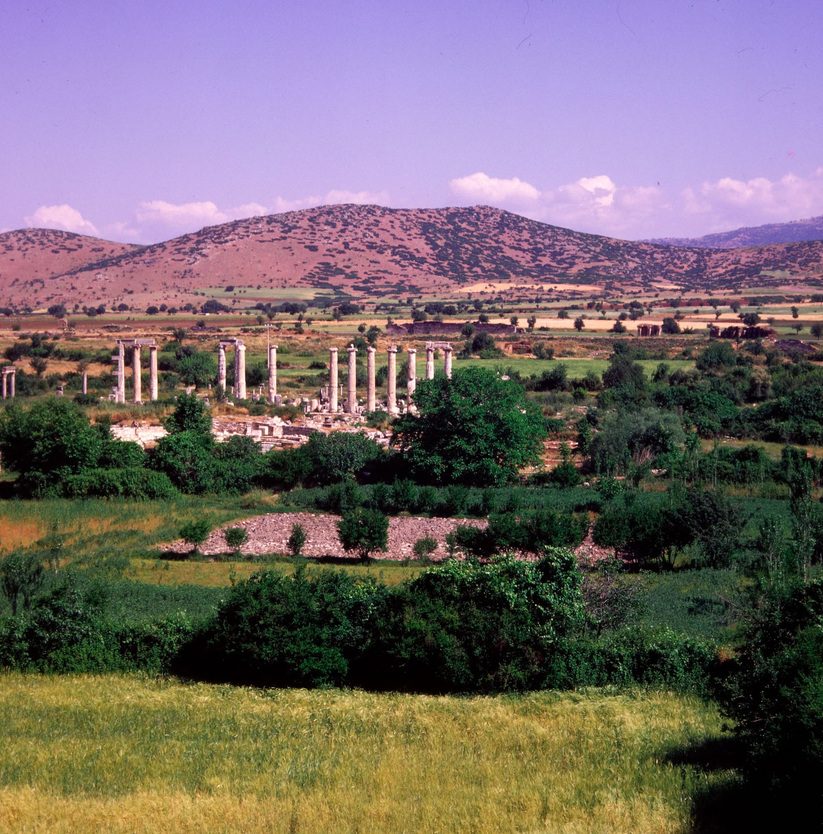 Afrodisias Afrodit Tapınağı