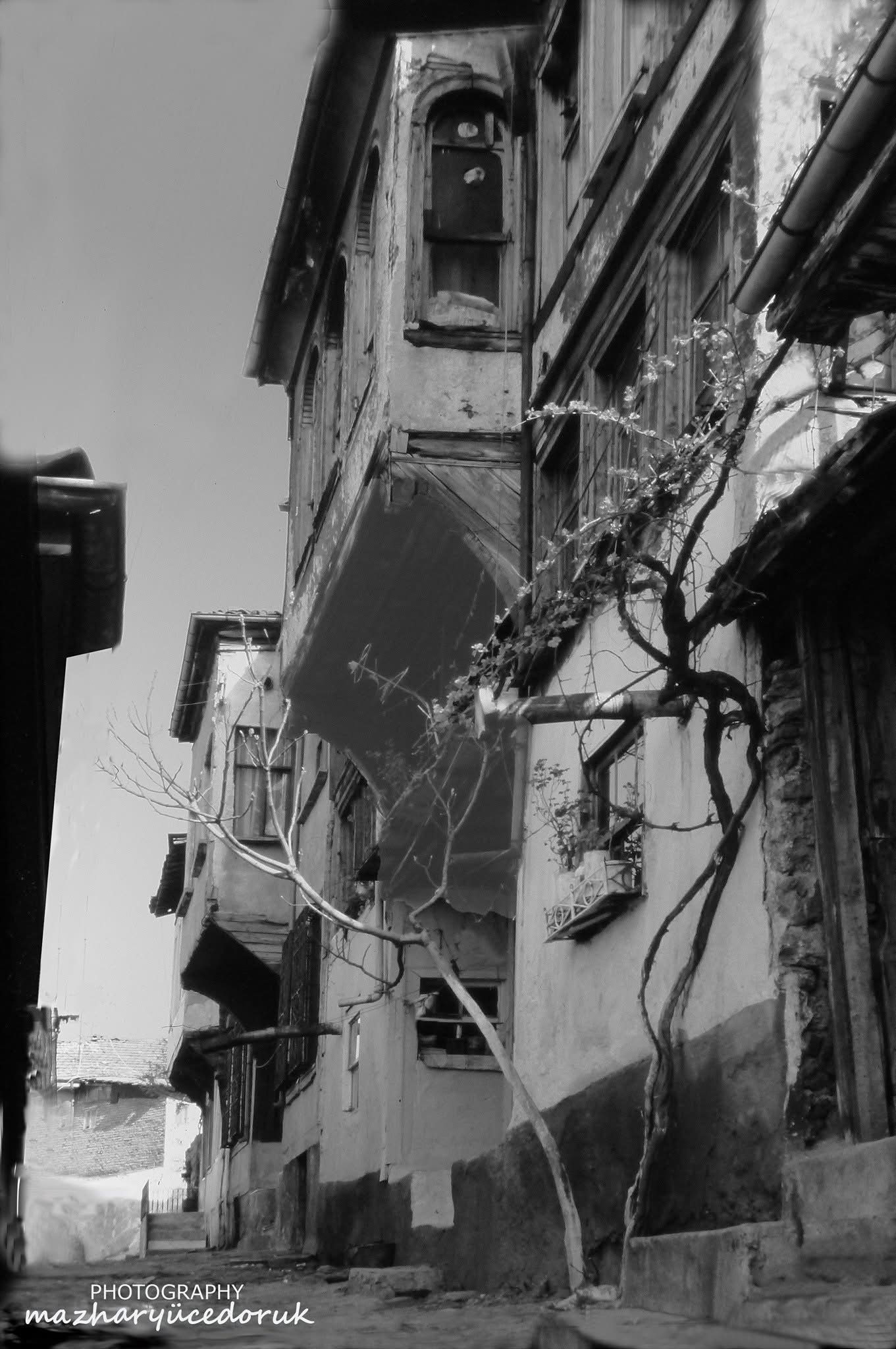 Kuruçeşme, Bayır Sokak