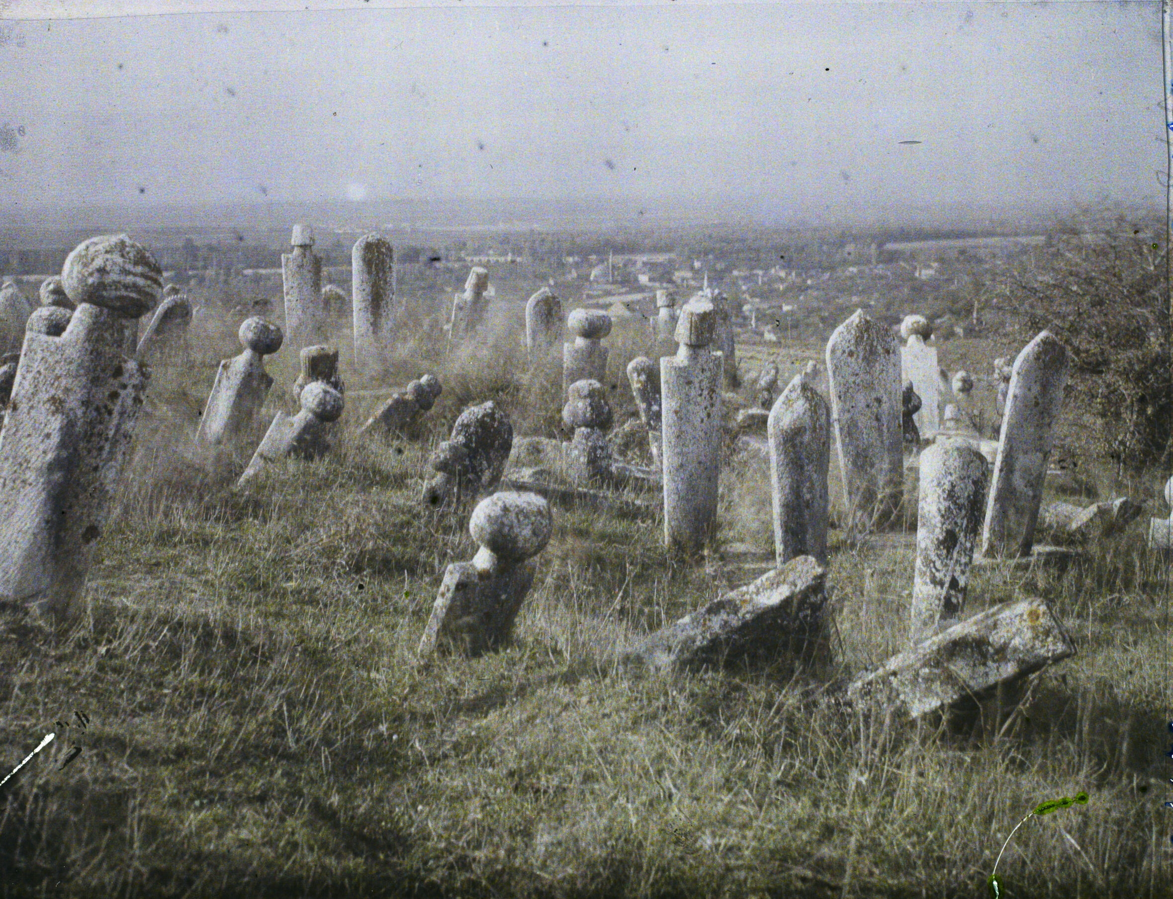 Edirne Mezarlık