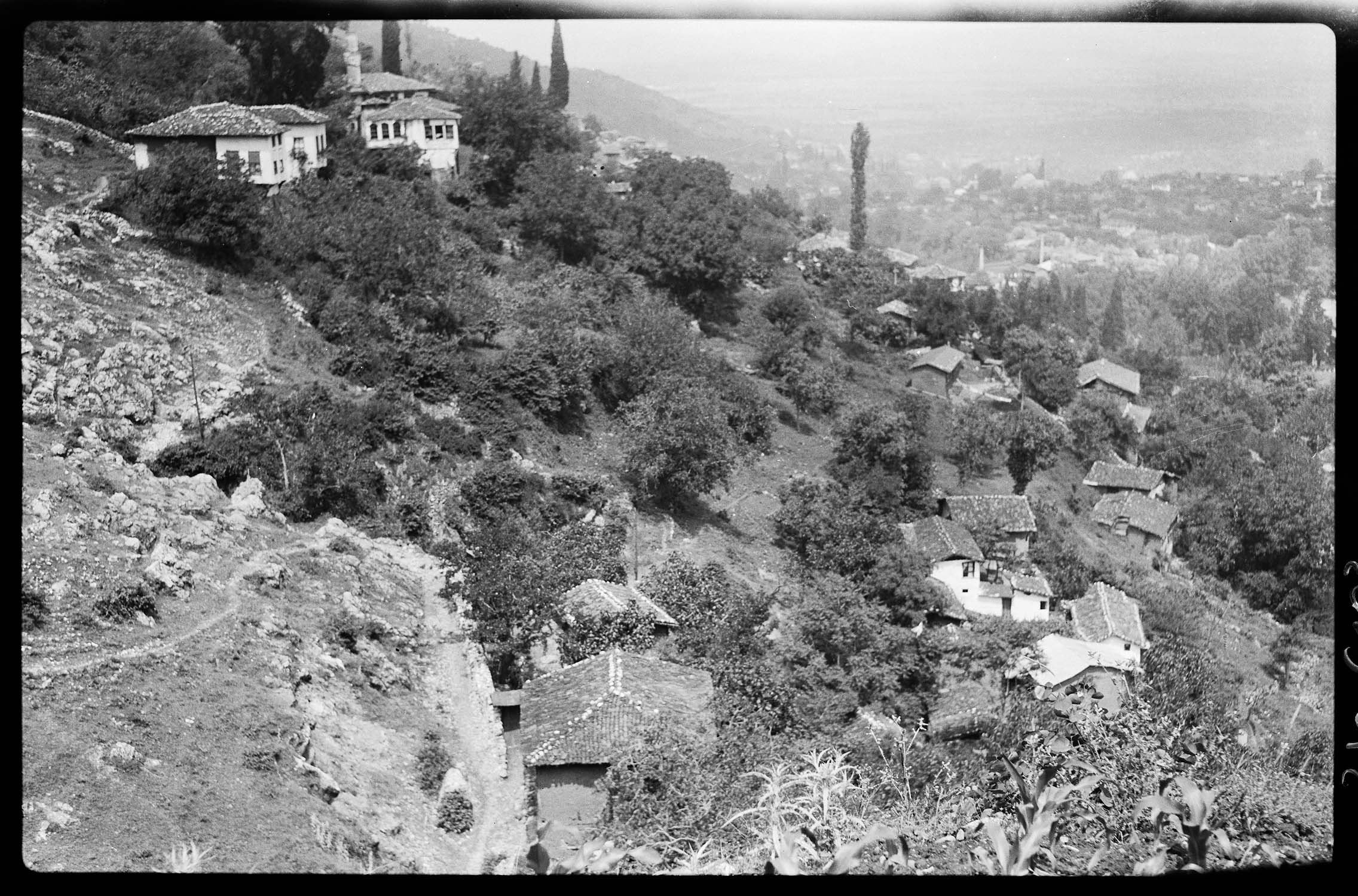 Bursa Görünümü