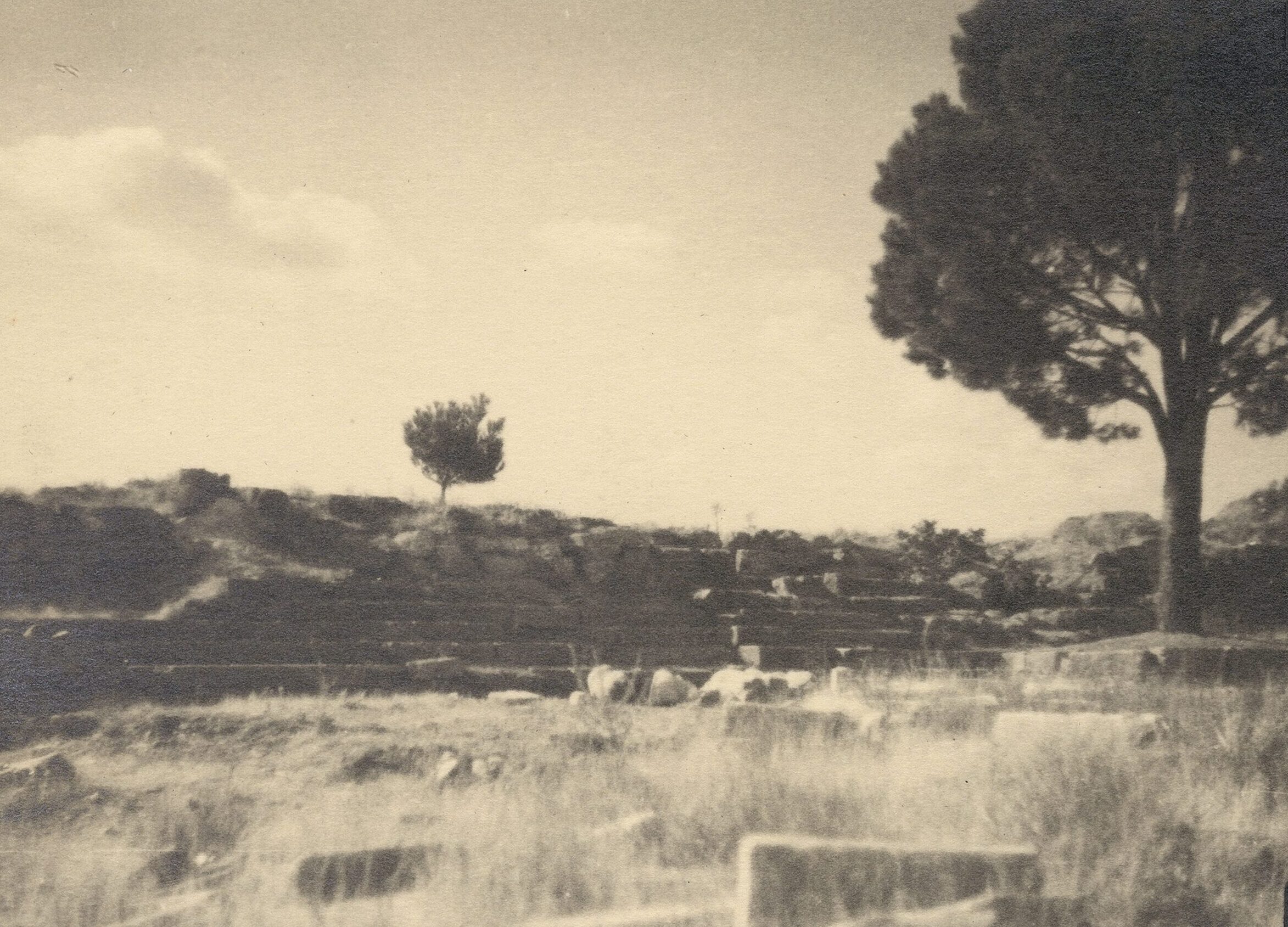 Pergamon Zeus Sunağı