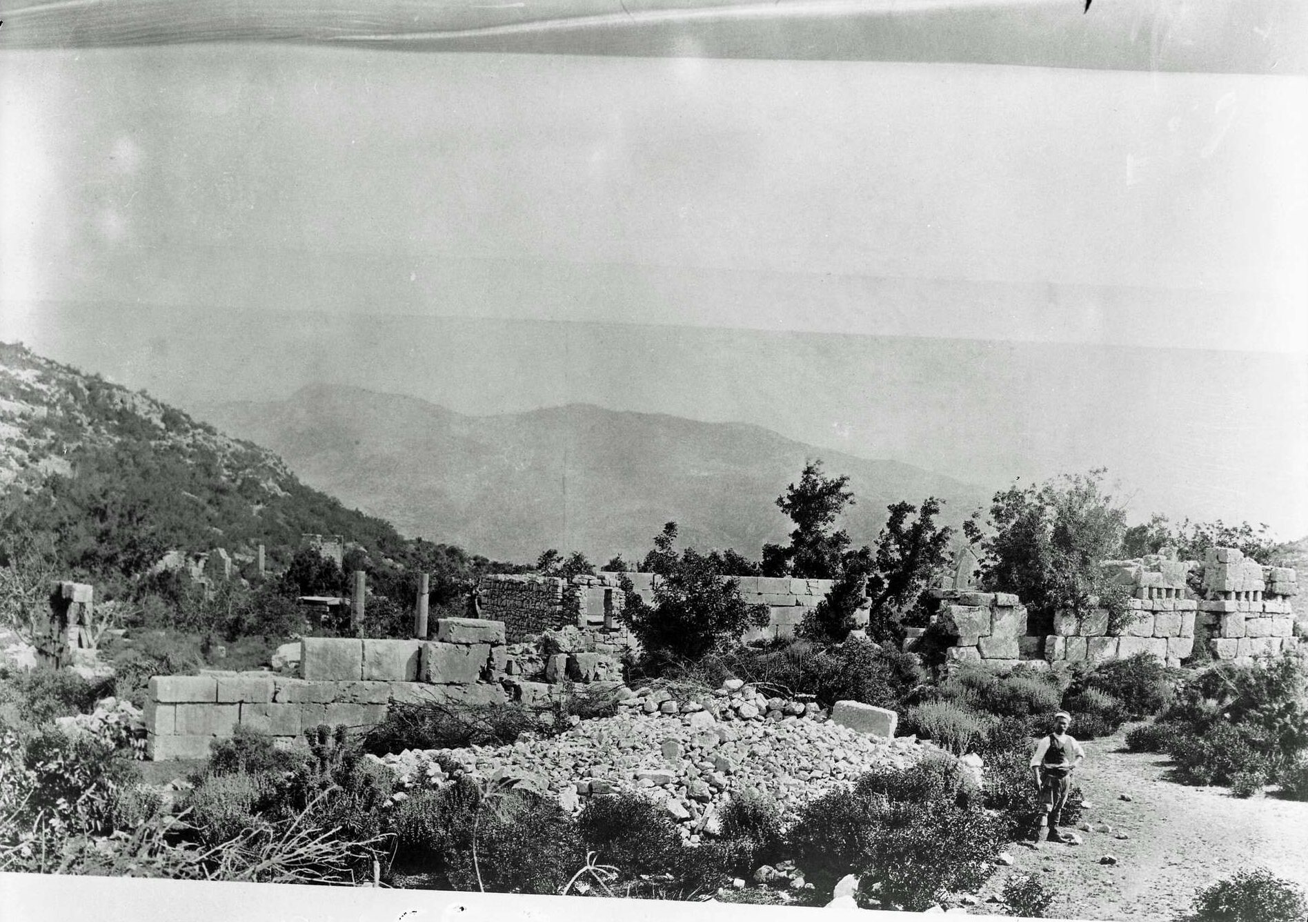 Sidyma