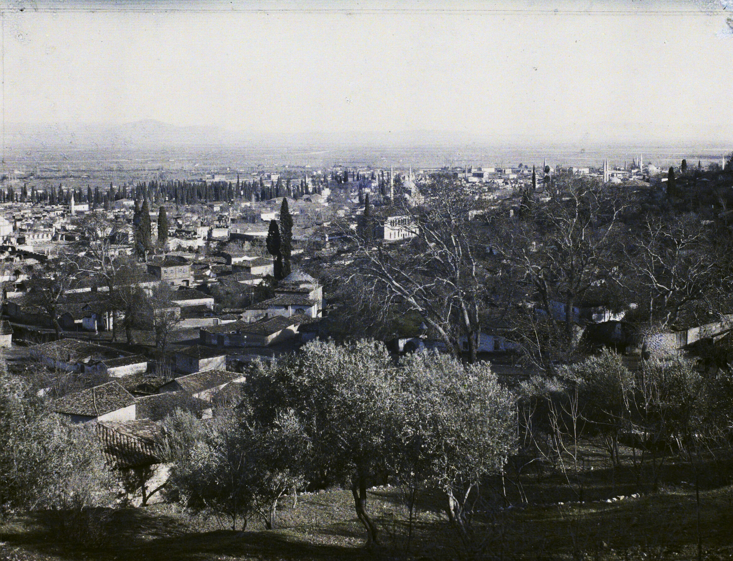 Manisa