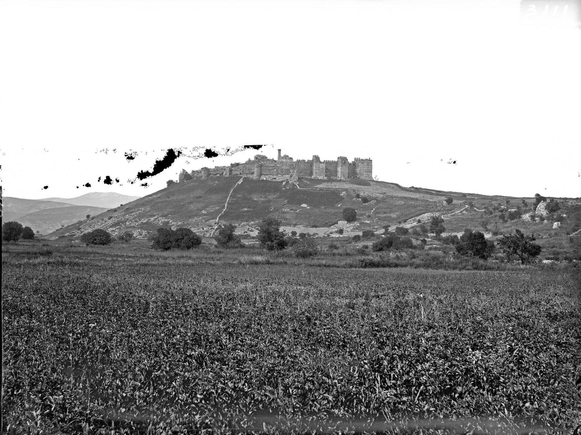Ayasuluk Kalesi