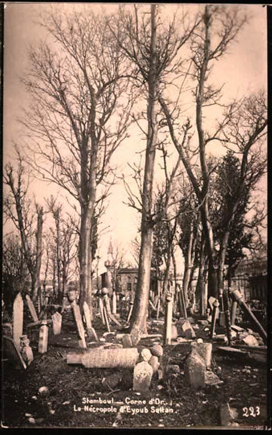 Yâ Vedûd Camii