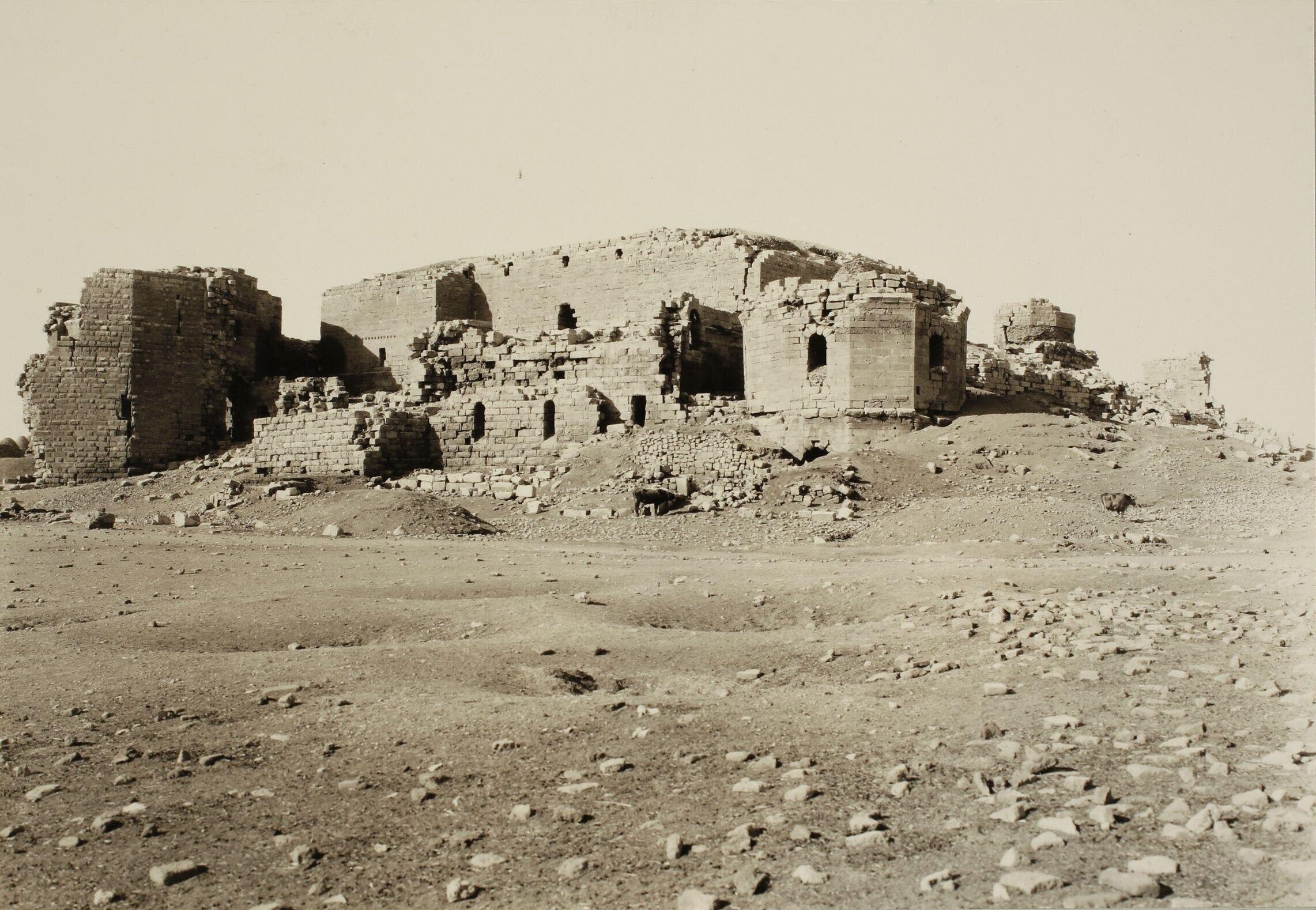 Harran Kalesi