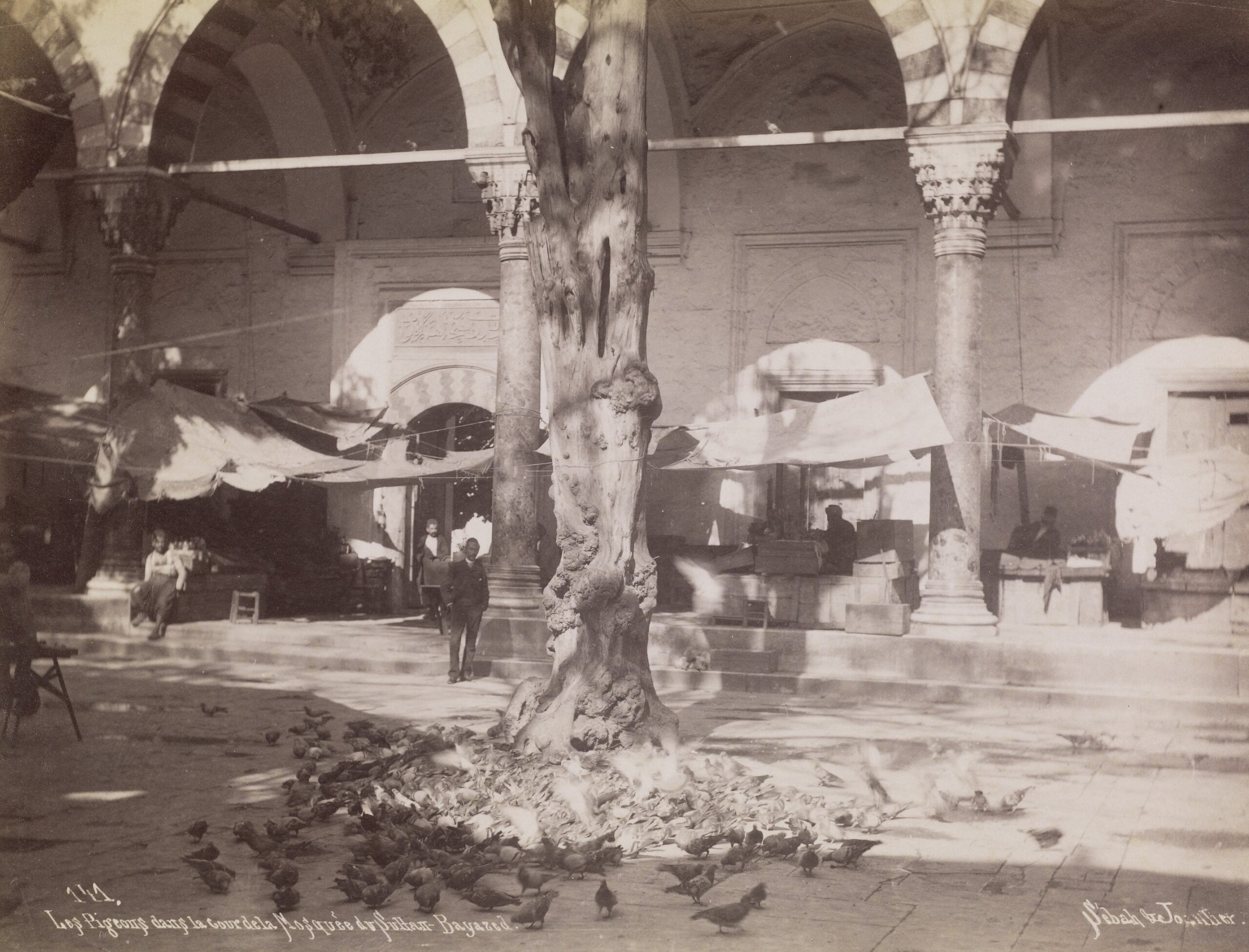 Beyazıt Camii Avlusu