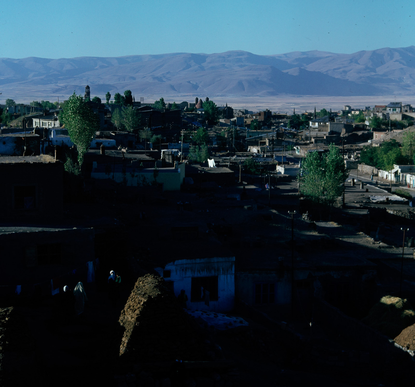 Erzurum