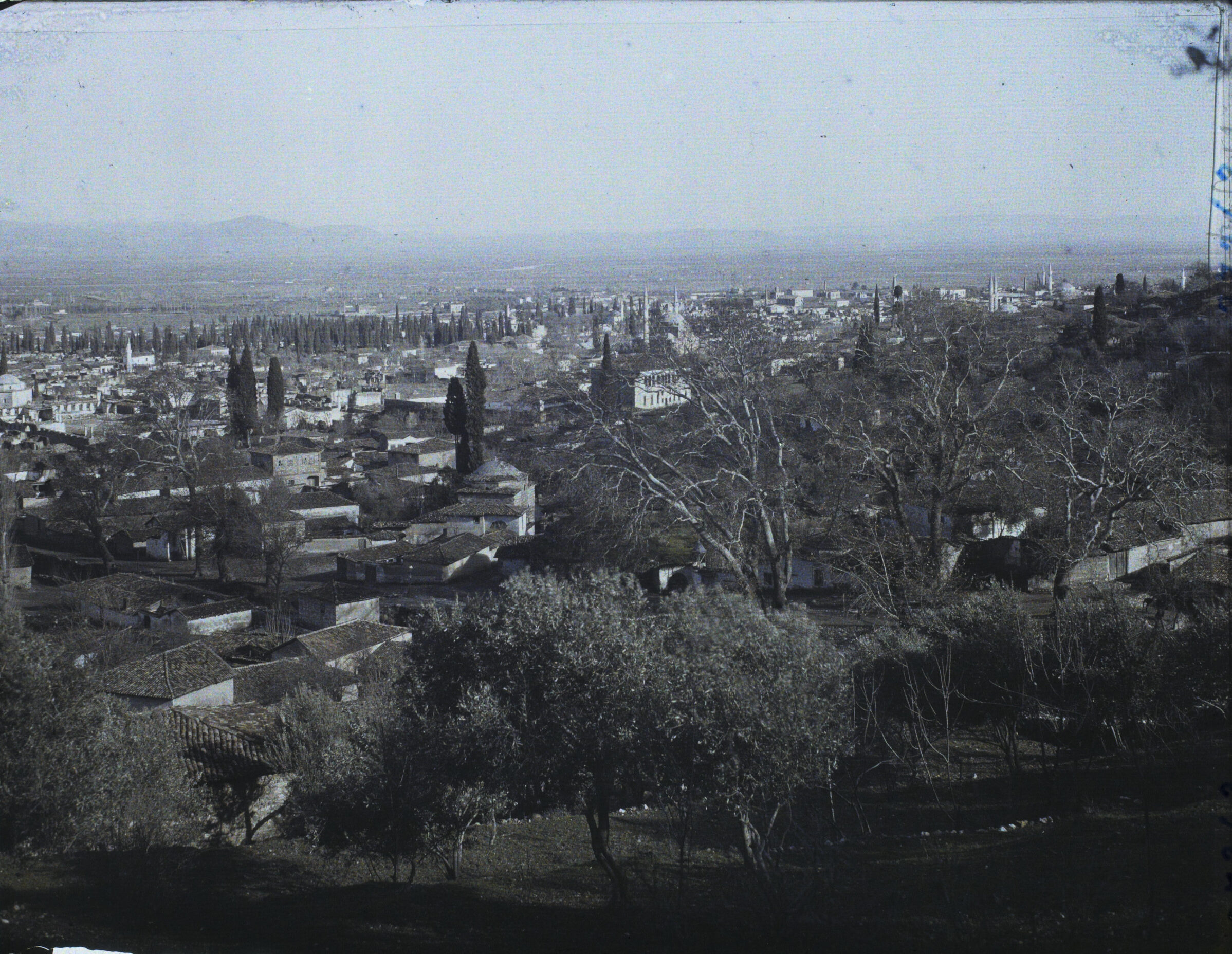 Manisa