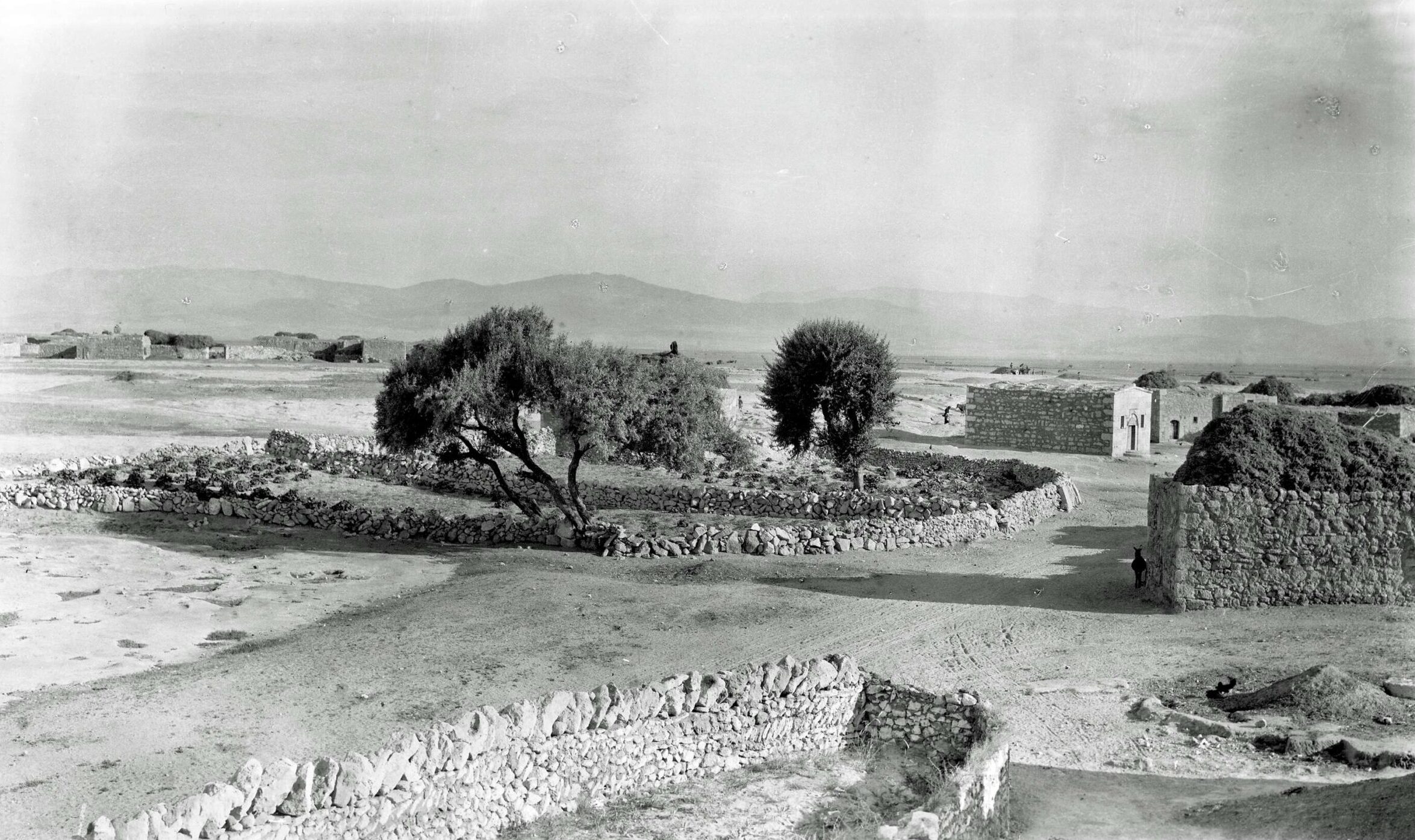 Konaklı Köyü