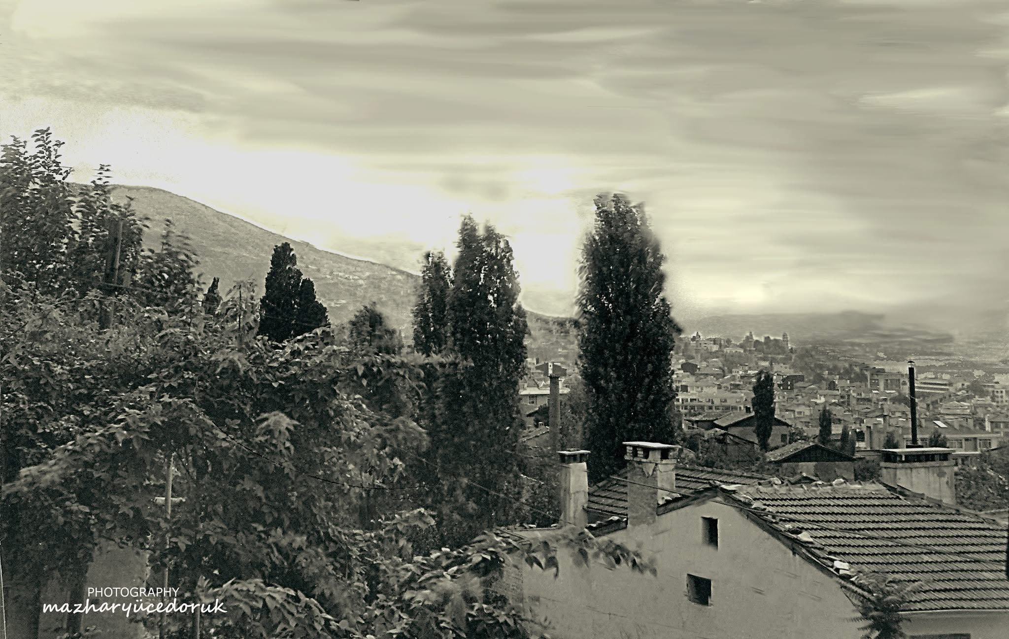 Bursa Ovasına Bakış