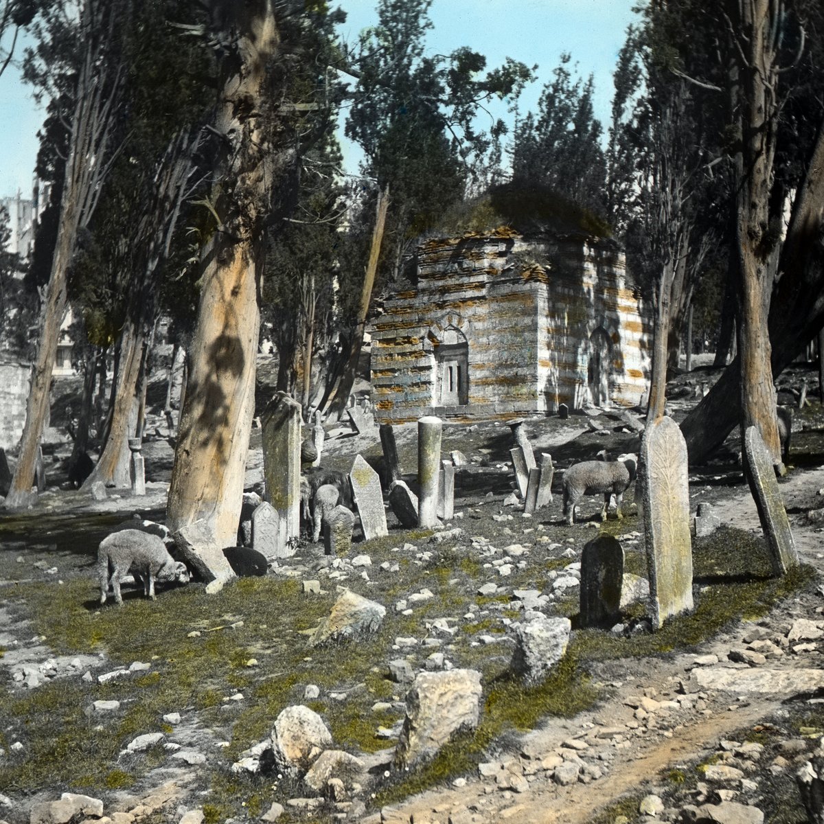 Lohusa Sultan Türbesi