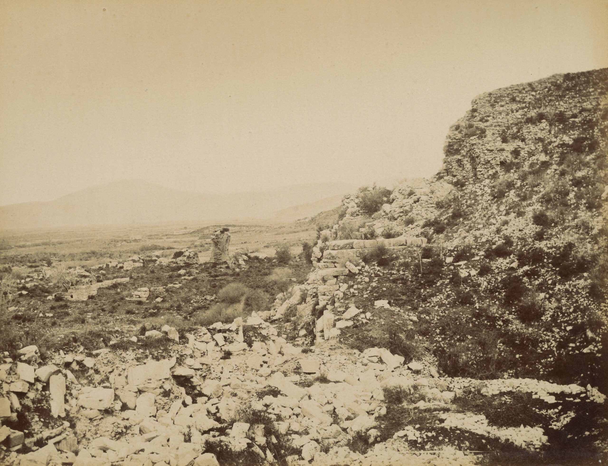 Efes Vedius Gymnasiumu
