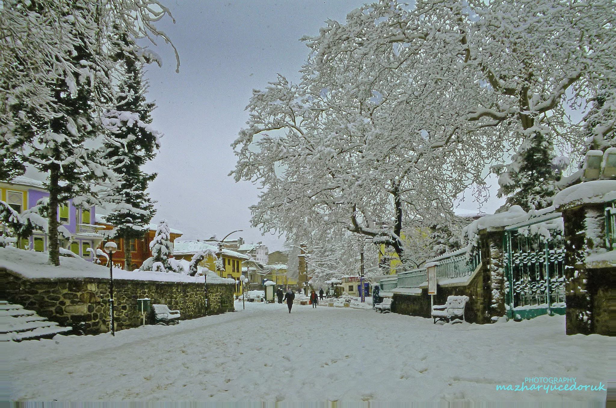 Yeşil