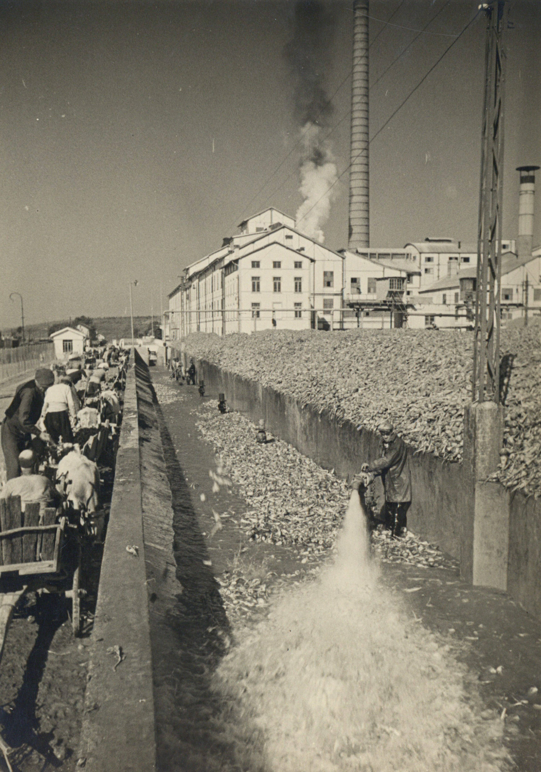 Evacuation of Pancar Silos with Su Tazyiki in Alpullu Sugar Factory
