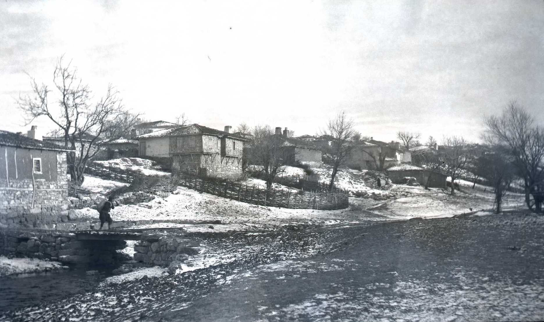 Vize Genel Görünümü