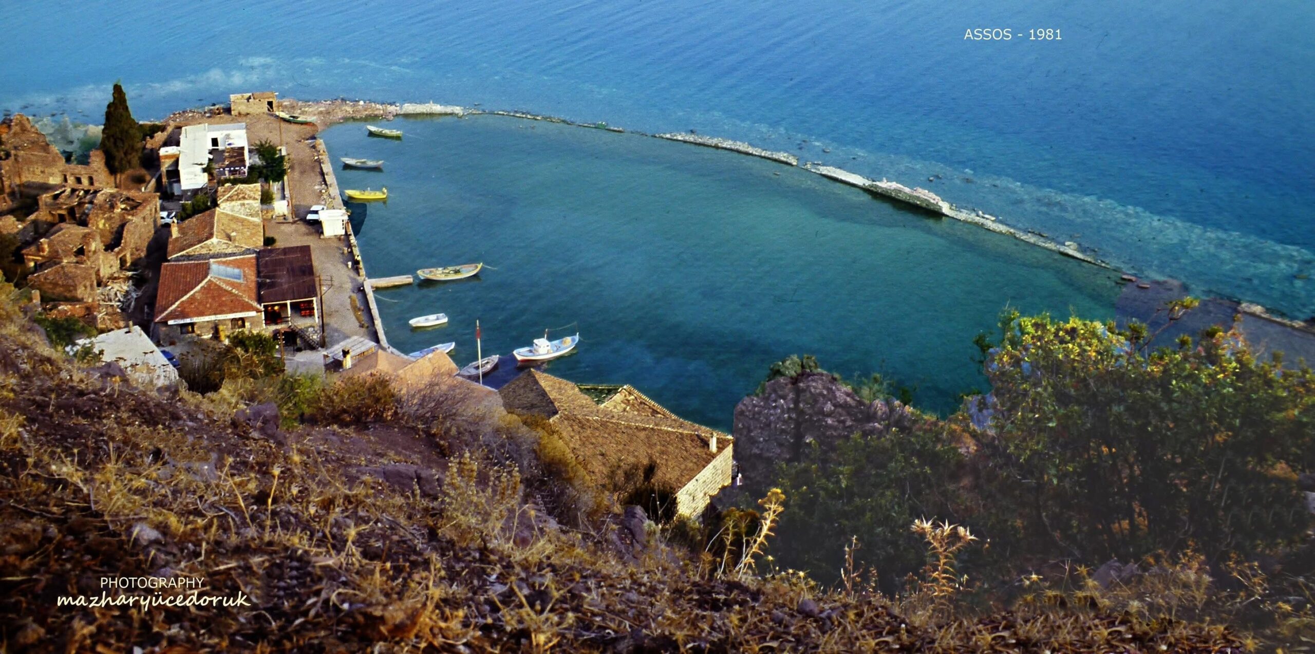 Assos Liman