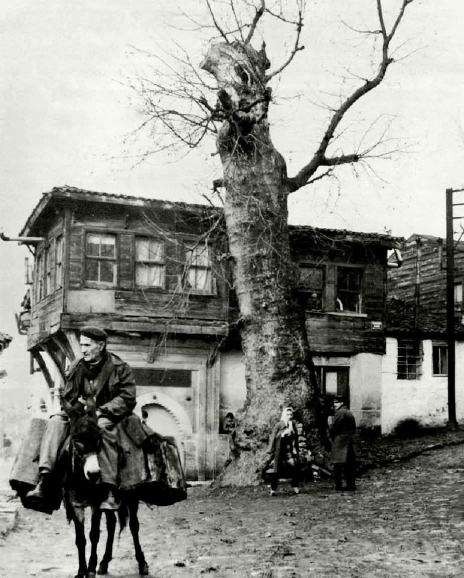 Çınarlı Çeşme
