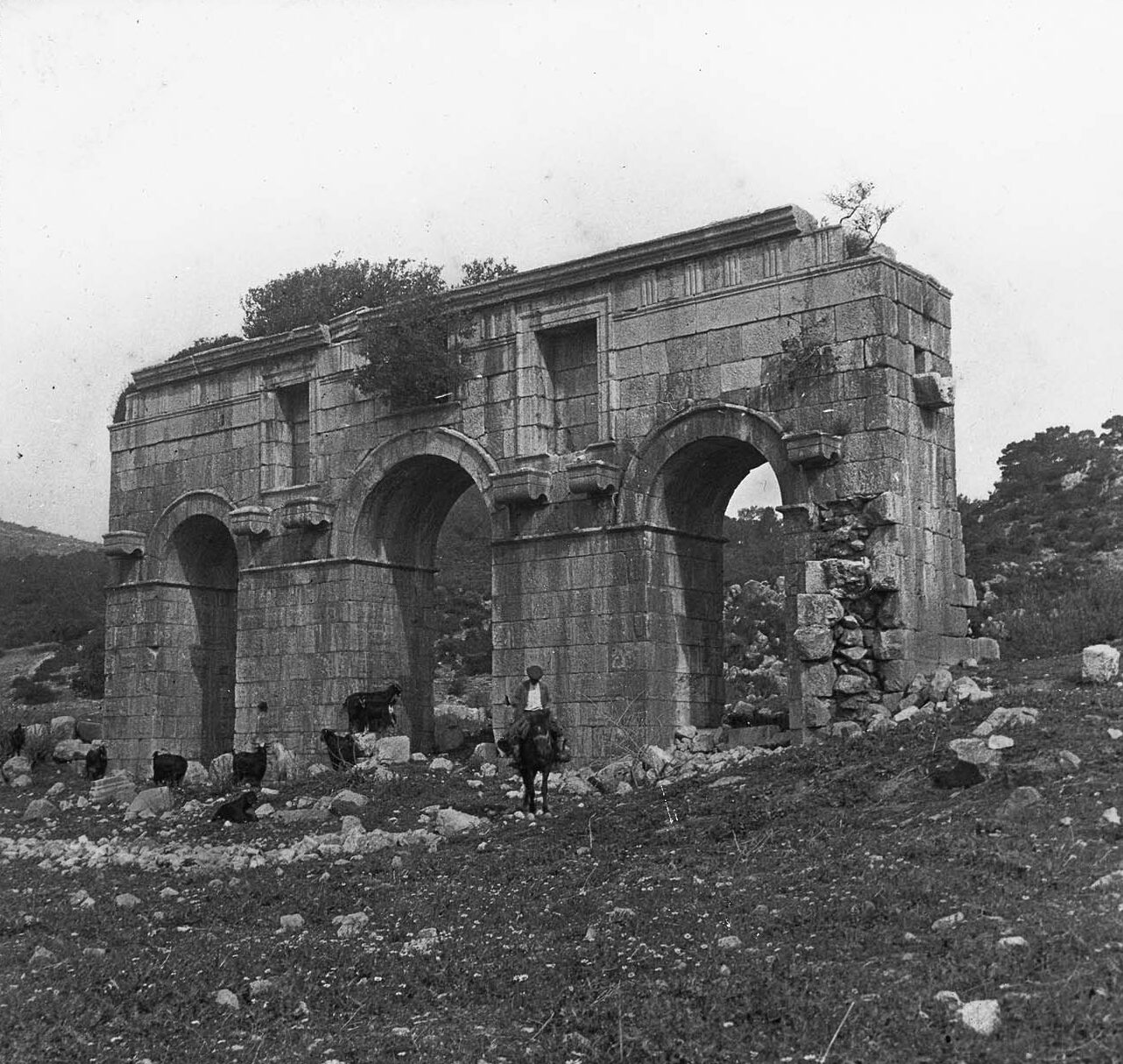 Patara Antik Kenti-Modestus Zafer Takı