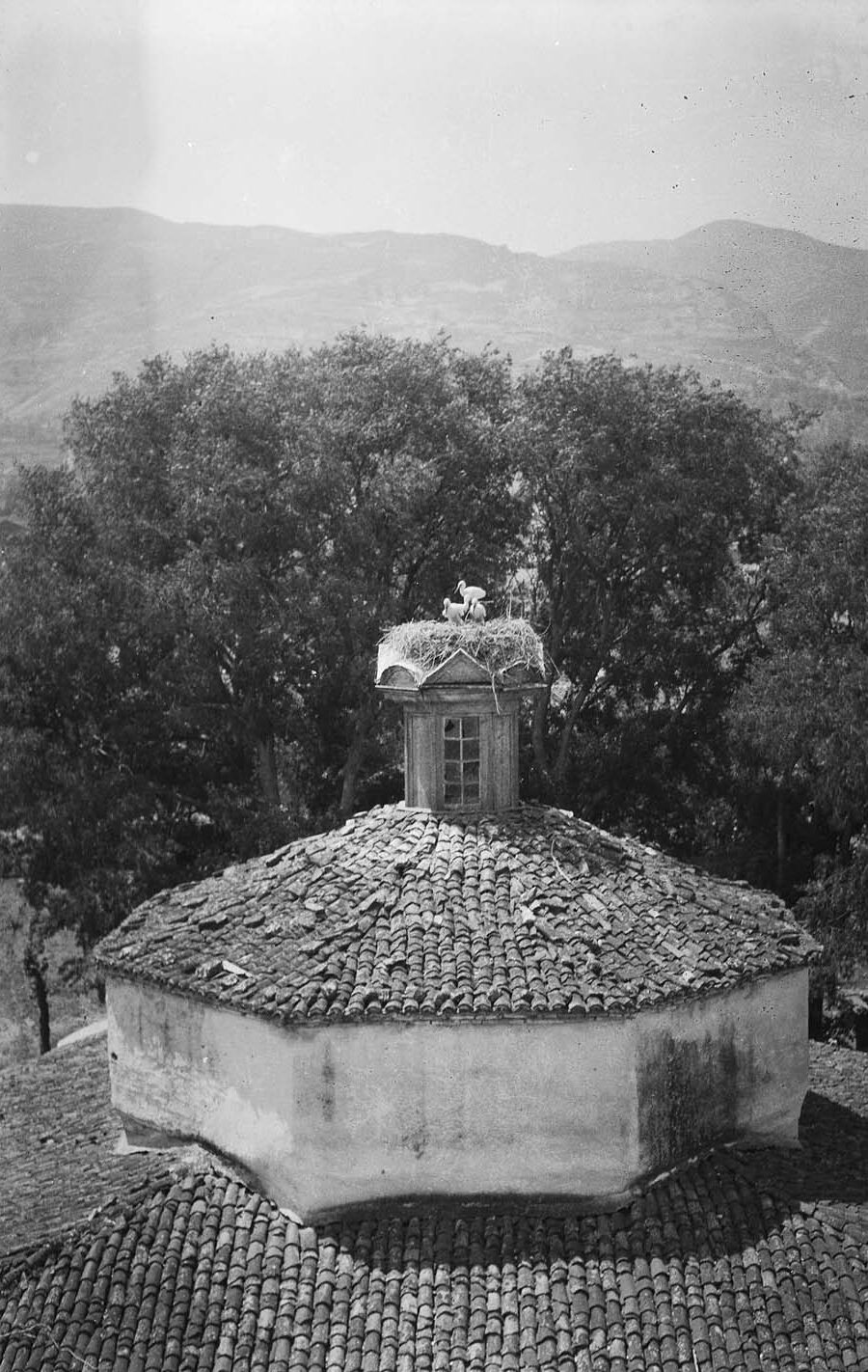 Timurtaş Paşa Camii