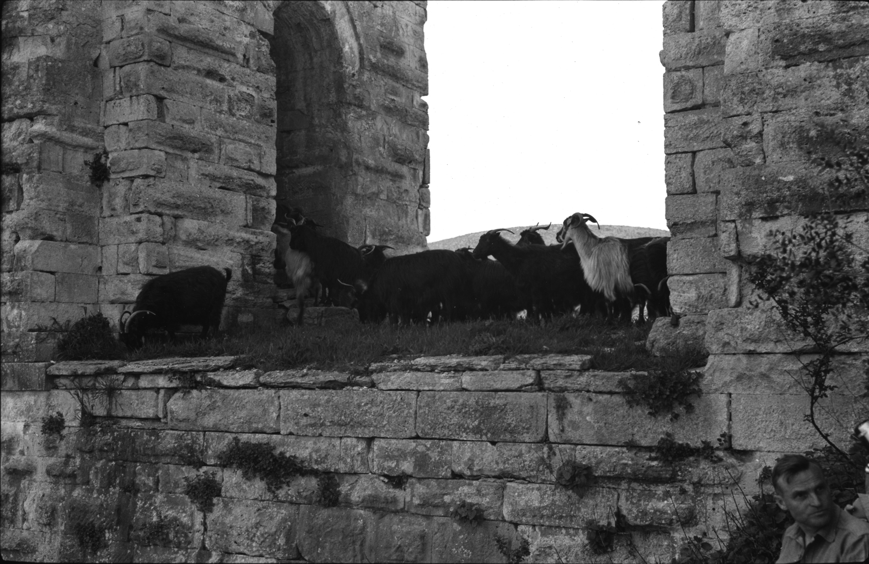 Kovuk Kemer