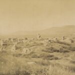 Ephesus: Kayster Valley with Ayasuluk Castle