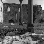 Jesus Bey Mosque Columns on the palm