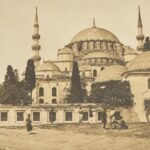 Süleymaniye Mosque and Species