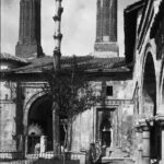Sivas Gök Medrese Hunting View