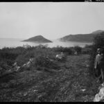 Silifke Boğsak Dark
