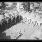 Süleymaniye Ash