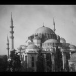 Süleymaniye Ash