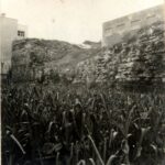 Marmara Surları, Langa Bostanı