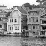 Saip Özden Yalcin