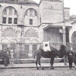 Kılıç Ali Paşa Camii ve Deve