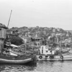 Sarıyer
