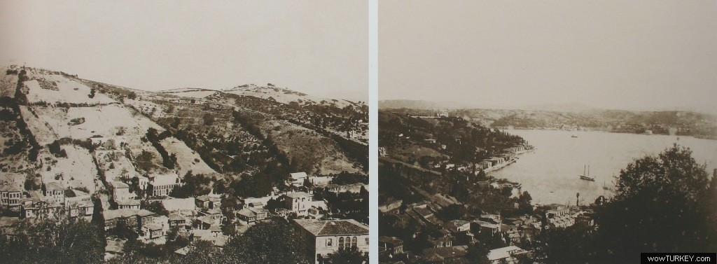 fikri aktan bebek 188090