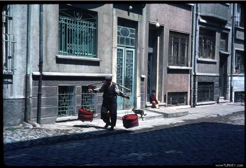 yilmaz buktel buktel5296